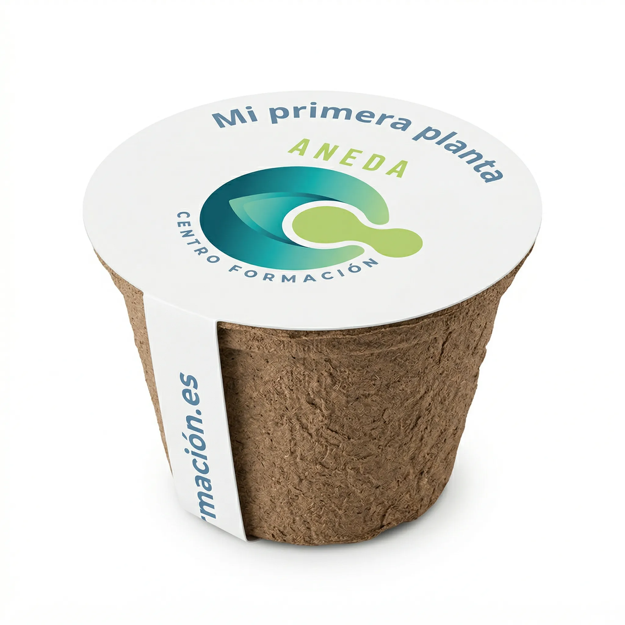 mi primera planta